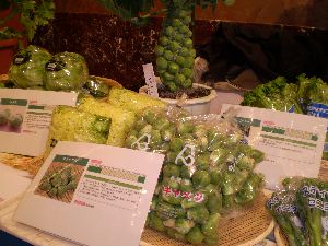 2010-12-16-fujinokuni-3mekyabetu.jpg