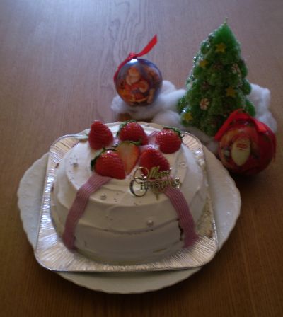 blog-christmascake-2012.jpg