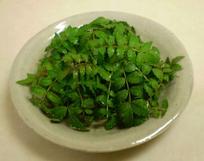 blog-sanshou-leaf.jpg