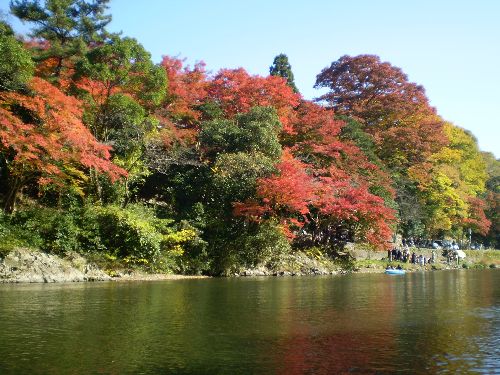 kyoto-okuarasiyama2010-1.jpg