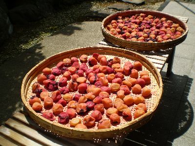 umebosi-2010.jpg