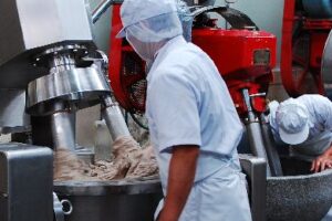 丸又の製造現場で、石臼を使って魚肉を塩摺りする様子