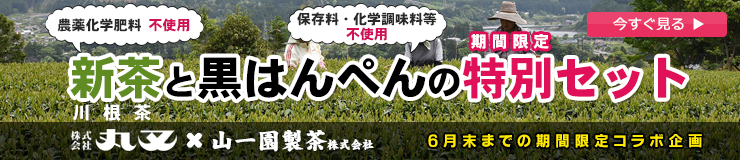 新茶と黒はんぺんの特別セット