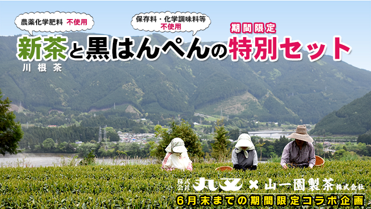 農薬化学肥料不使用の新茶と保存料化学調味料等不使用の黒はんぺんの期間限定特別セット